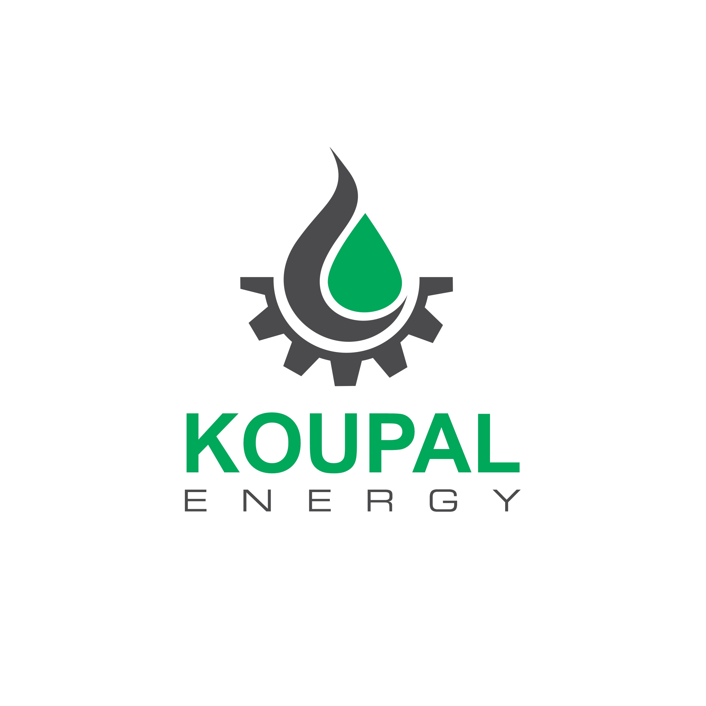 شرکت تأمین و توسعه انرژی کوپال