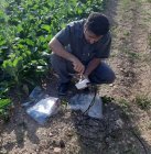 دیتالاگر مینیاتور هوشمند فوق کم مصرف ویژه مزارع، باغات و گلخانه های تحقیقاتی