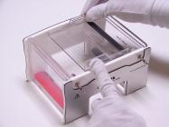 تانک الکتروفورز افقی