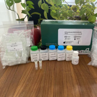 کیت استخراج DNA