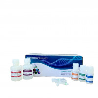 کیت استخراج DNA از خون به کمک تکنولوژی سیلیکا