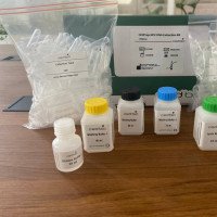 کیت استخراج DNA HPV