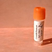 آنتی بادی بزی علیه IgG انسانی HRP