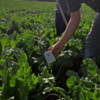 دیتالاگر مینیاتور هوشمند فوق کم مصرف ویژه مزارع، باغات و گلخانه های تحقیقاتی