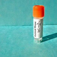 آنتی بادی کونژوگه خرگوشی علیه IgG موشی HRP